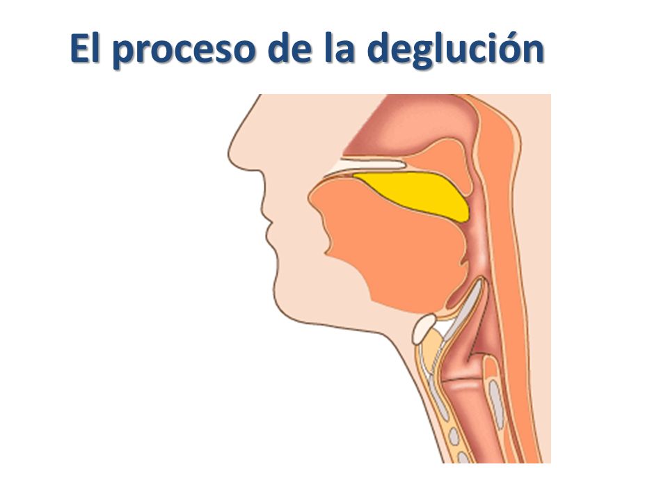 El dolor en los riñones y en lo bajo del vientre a la demora